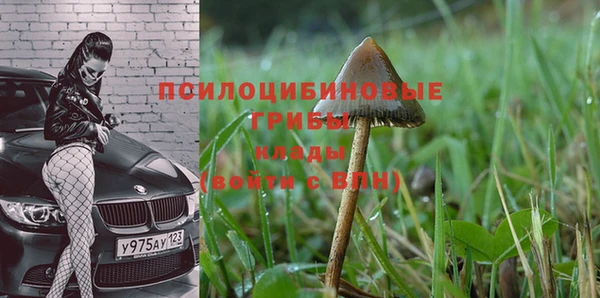 тгк Алексеевка