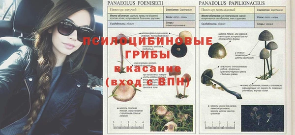 мет Алзамай