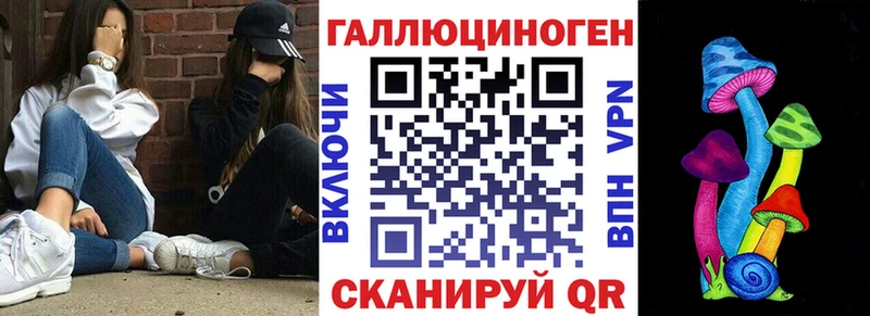 Псилоцибиновые грибы Psilocybe  Переславль-Залесский 